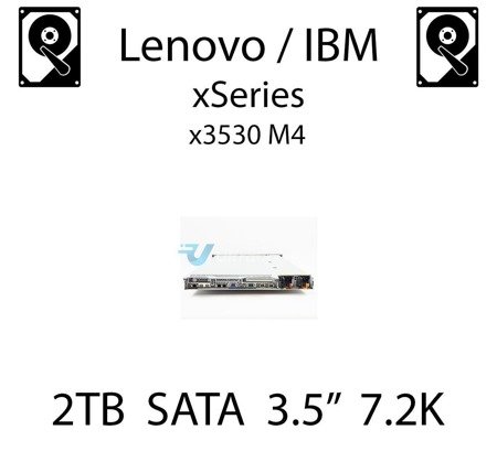 2TB 3.5" dedykowany dysk serwerowy SATA do serwera Lenovo / IBM System x3530 M4, HDD Enterprise 7.2k, 600MB/s - 81Y9794 (REF)