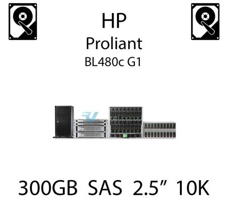 300GB 2.5" dedykowany dysk serwerowy SAS do serwera HP ProLiant BL480c G1, HDD Enterprise 10k, 12GB/s - 785412-001 