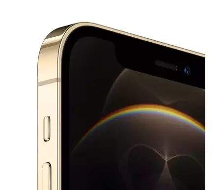 Apple iPhone 12 PRO 256GB Gold 5G GW